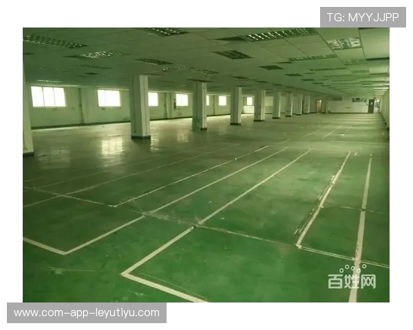 体育场馆运营创业：租场地再分租的生意模式，体育场租赁一天大概多少钱